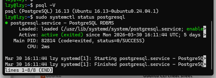 Ubuntu 24.04 部署PostgreSQL 16.13 命令执行