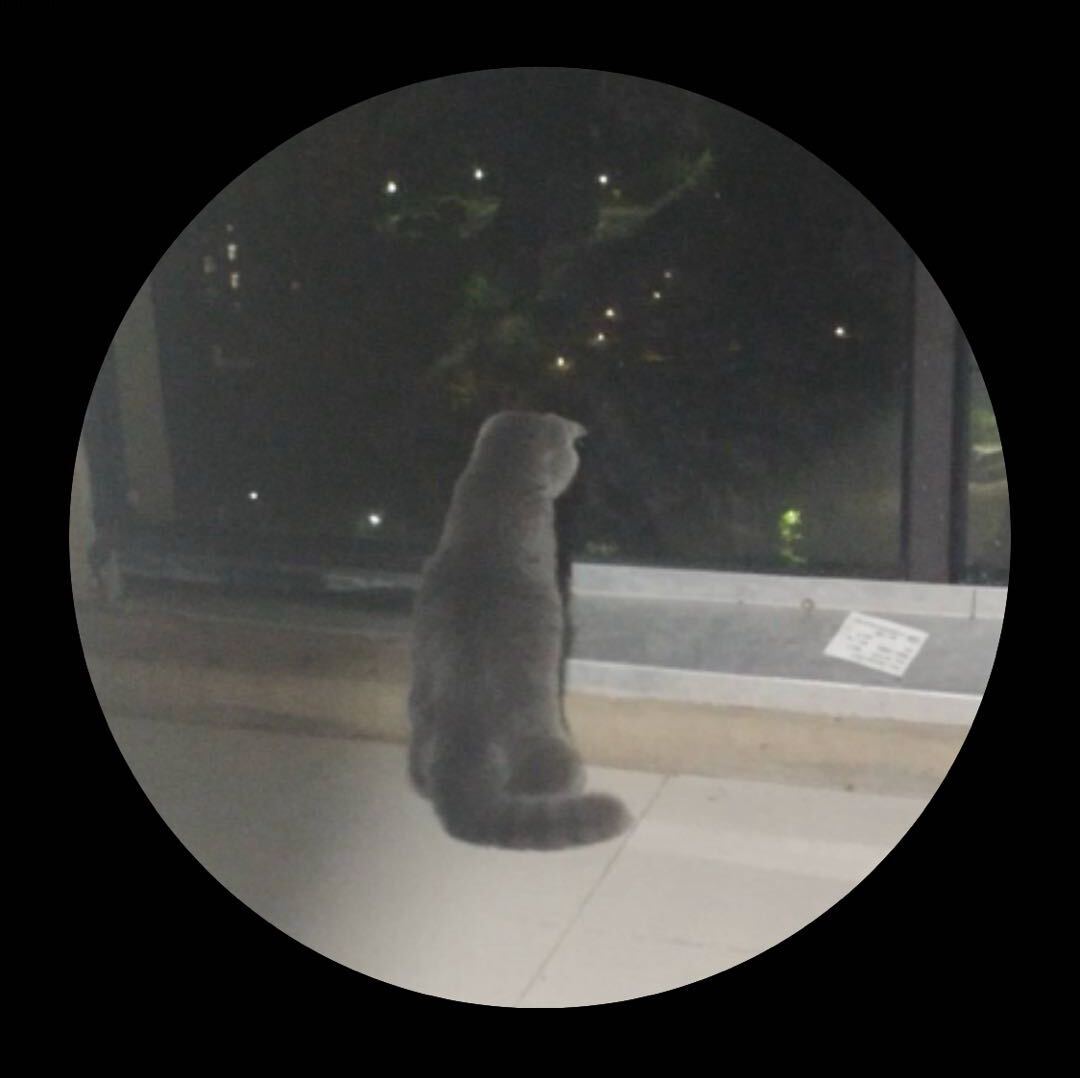 十二不乖的博客